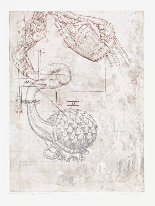 Memeplex: Benevolent Technology + Environmental Resiliency