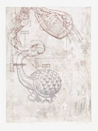 Memeplex: Benevolent Technology + Environmental Resiliency