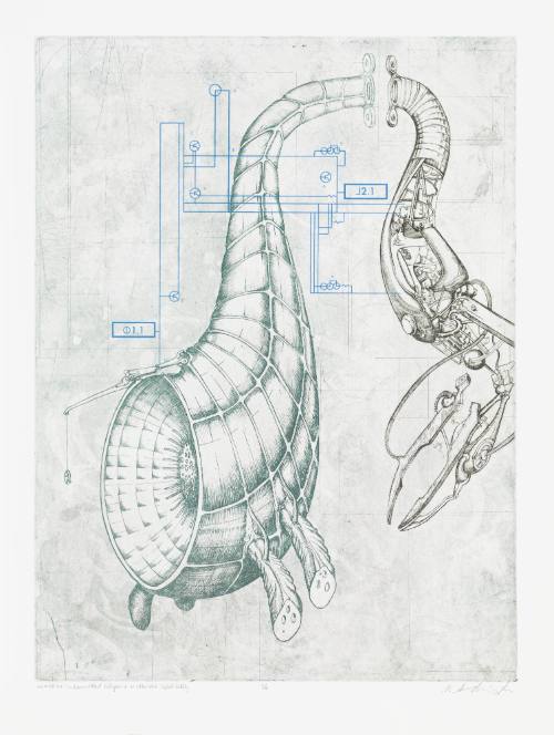 Memeplex: Fundamentalist Religion + Militaristic Infallibility