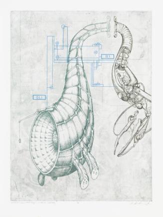 Memeplex: Fundamentalist Religion + Militaristic Infallibility