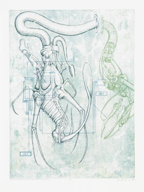 Memeplex: Xenophobic Ethnocentrism + Militaristic Infallibility