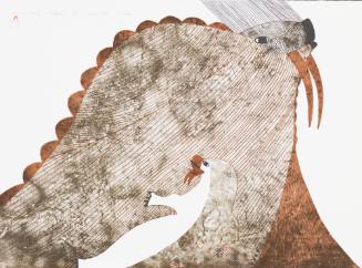 Walrus and Young