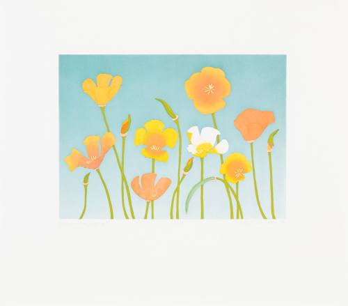 California Poppies