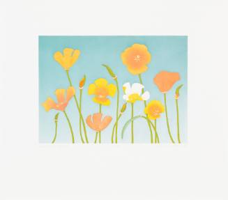 California Poppies