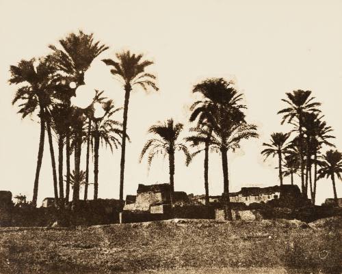 Village along the Banks of the Nile [Egypt]