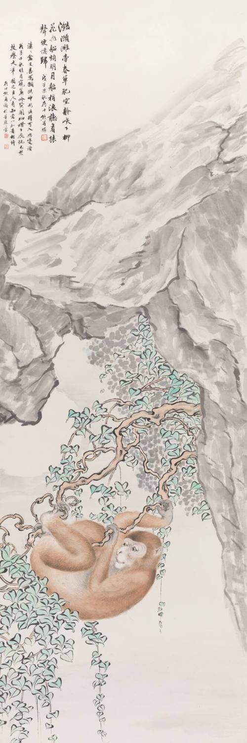 Monkey in Tree in Gorge