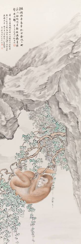 Monkey in Tree in Gorge