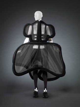 Dress, Harness with Skirt, Tights, Boots, and Boot Covers