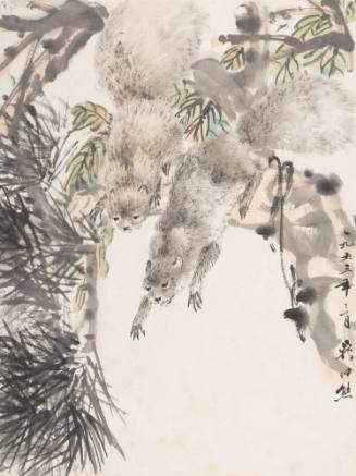 Two Squirrels on a Pine Branch