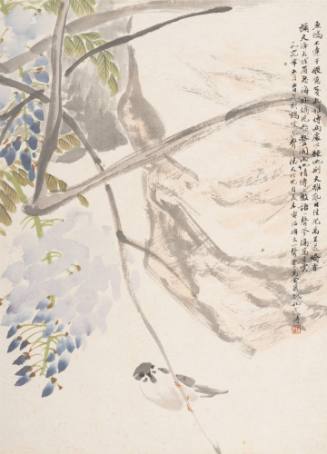 A Sparrow on a Wisteria Branch