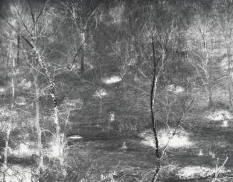 Negative Print, Oldham County, Ky