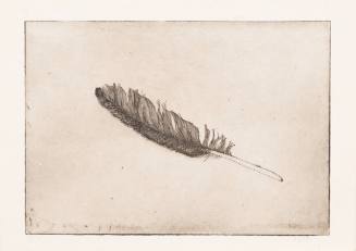 Untitled (Feather)