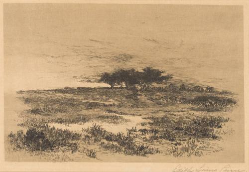 Solitude, Pecks Beach, NJ