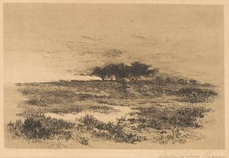 Solitude, Pecks Beach, NJ