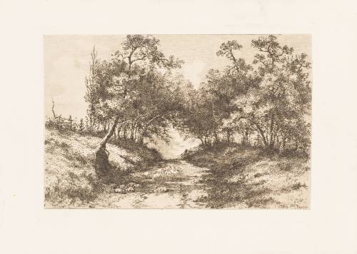 Rural Walk