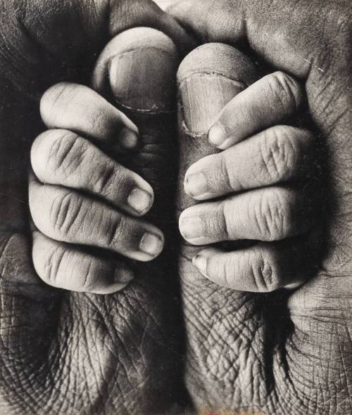 My Father and My Son