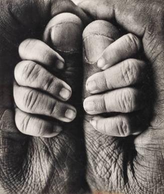 My Father and My Son