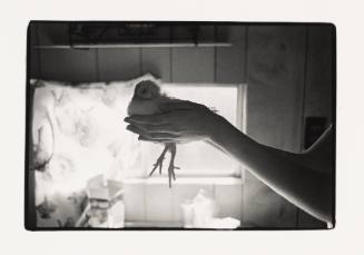 Reva Holds a Chicken, Pomeroy, Ohio
