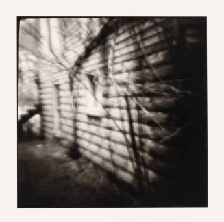 House and Bush, Pomeroy, Ohio