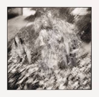 Children and Leaves, Shawnee, Ohio