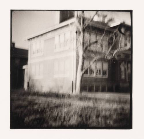 Tree Wrapping School, Hewitt, Minnesota