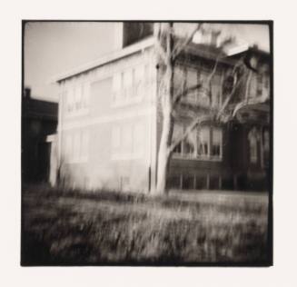 Tree Wrapping School, Hewitt, Minnesota