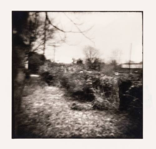 Backyard, Carpenter, Ohio