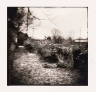 Backyard, Carpenter, Ohio