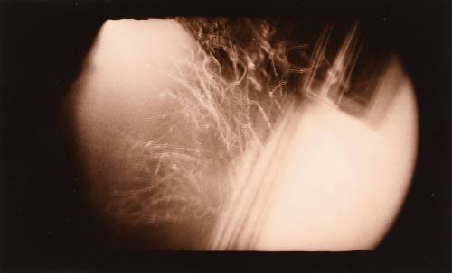 Barn Side, Vanceburg, Kentucky 