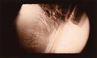 Barn Side, Vanceburg, Kentucky 