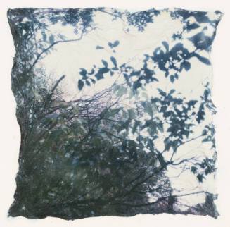 Untitled, Yellow Springs, Ohio, #16