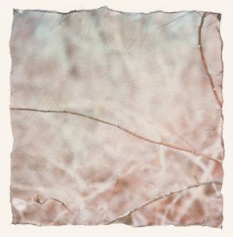 Untitled, Yellow Springs, Ohio, #99