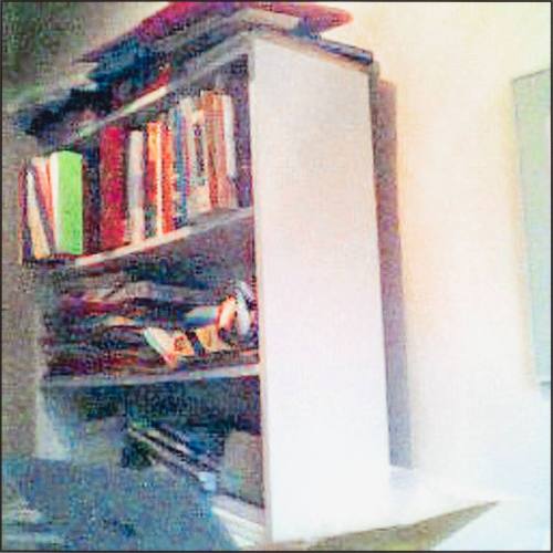 Bookcase in Twilight