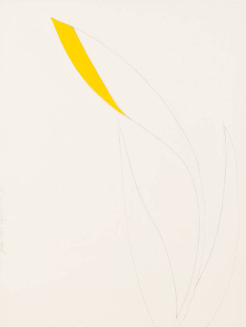 Untitled (Yellow Iris)