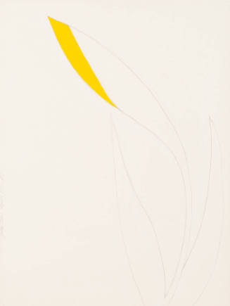 Untitled (Yellow Iris)