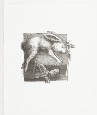 Tortoise and Hare