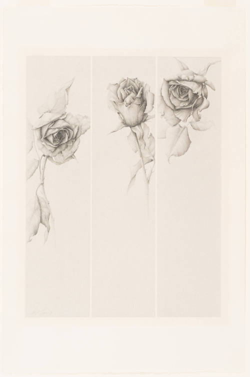 3 Roses