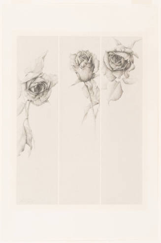 3 Roses