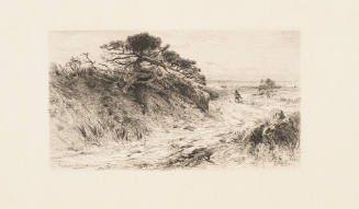 The Path to the Shore