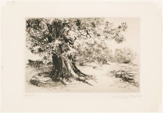 Chestnut Tree