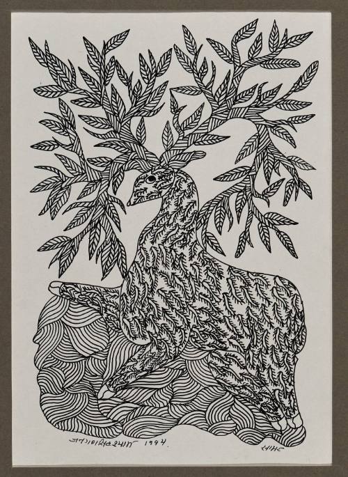 Samare (Indian Wormwood and Ibex)