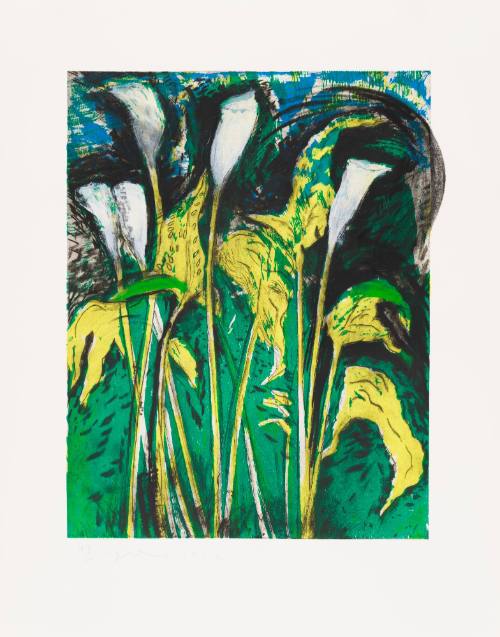 Calla Lilies, Verona III