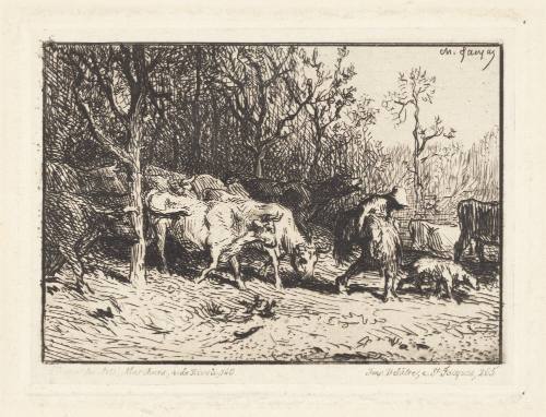 Herd of Cows Coming out of a Woods (Troupeau de vaches sortant d'un bois)