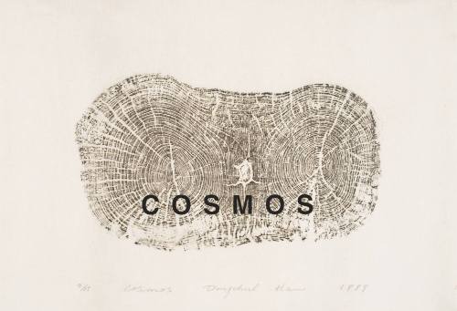 Cosmos