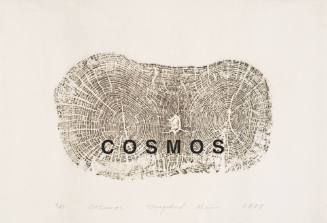 Cosmos