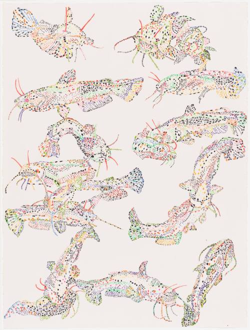 Interaction Between Bullhead Strangers