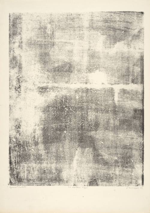 Thin Veneer (Le manteau léger), plate 4 from portfolio 7 titled Territories (Territoires),  from the Phenomena (Les Phénomènes) series