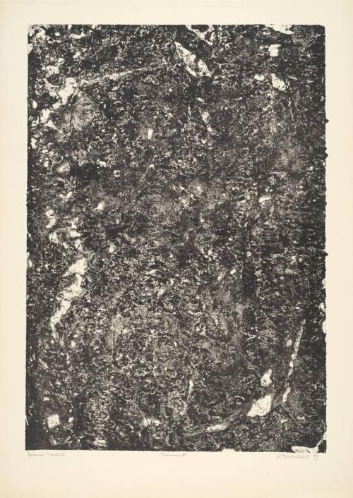 Torments (Tourments), plate 12 from portfolio 9 titled Soil, Earth (Sols, terres),  from the Phenomena (Les Phénomènes) series