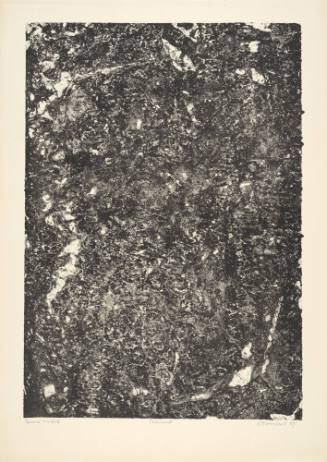 Torments (Tourments), plate 12 from portfolio 9 titled Soil, Earth (Sols, terres),  from the Phenomena (Les Phénomènes) series