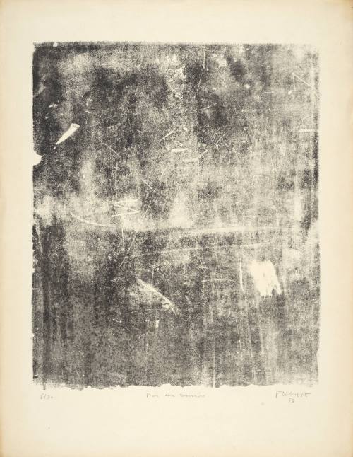 Wall of Memories (Mur aux souvenirs), plate 5 from portfolio 4 titled The Taker of Imprints (Le Preneur d'empreintes), from the Phenomena (Les Phénomènes) series